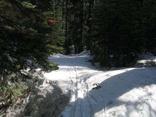 Ski tracks