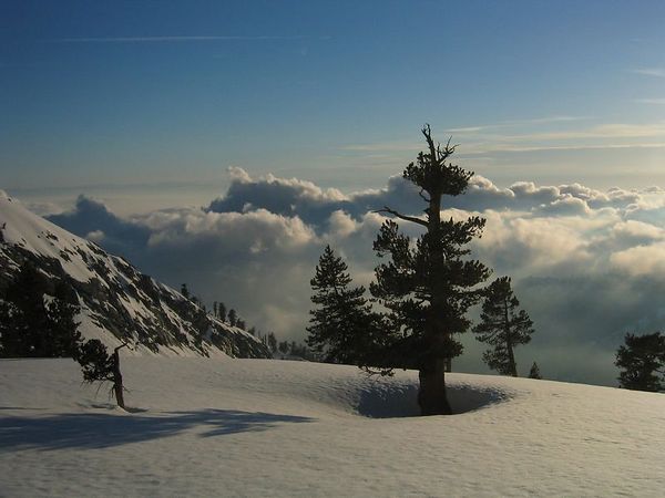 scenery